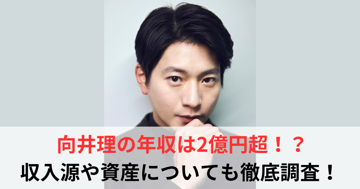 向井理　収入源