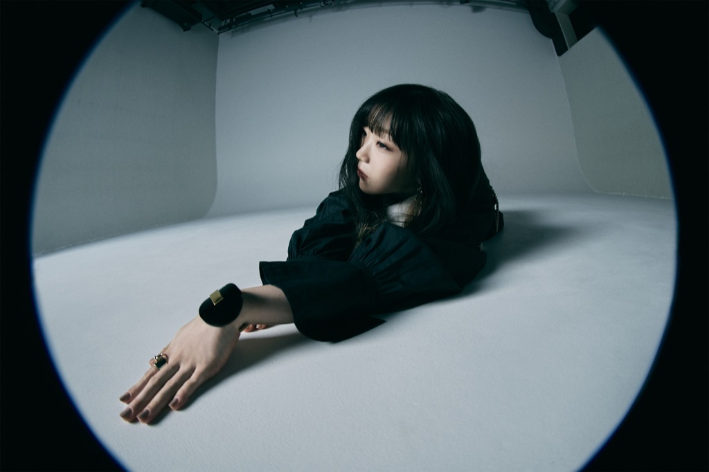 Aimer　収入源