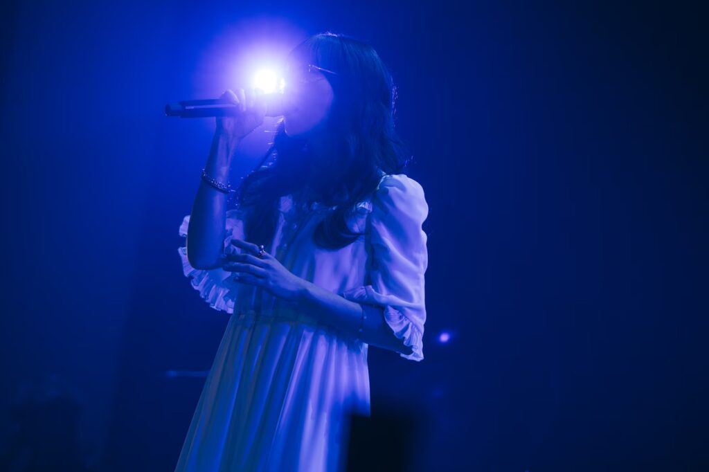 Aimer　資産