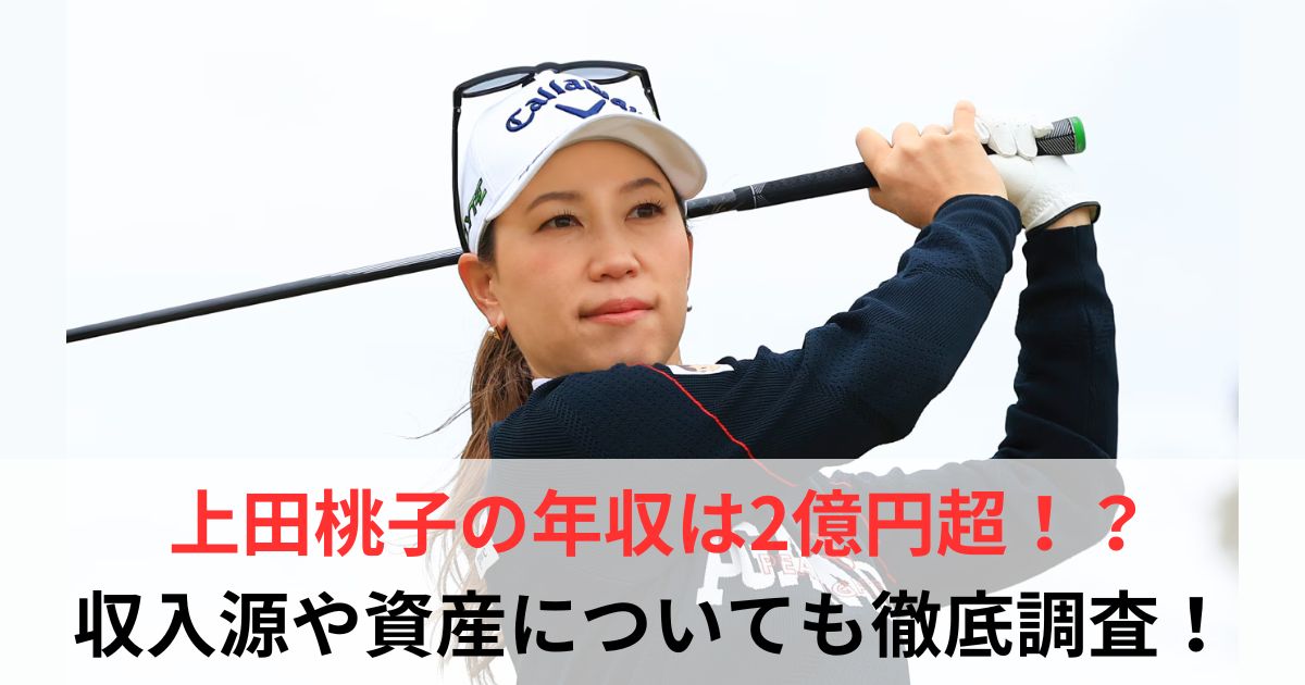 上田桃子　資産