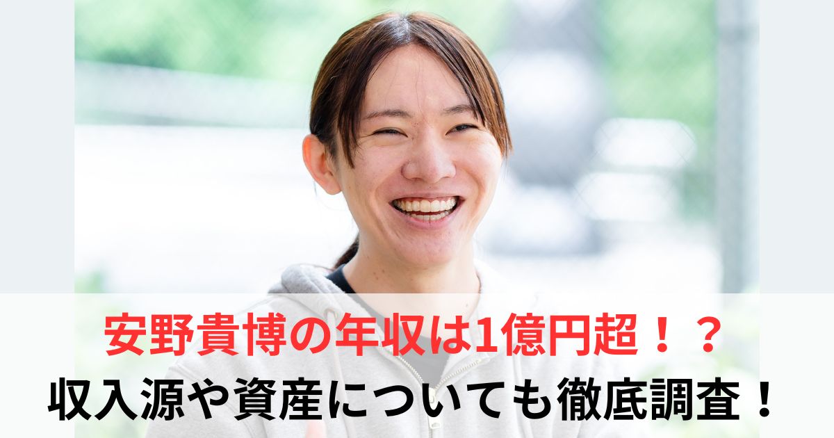 安野貴博　年収