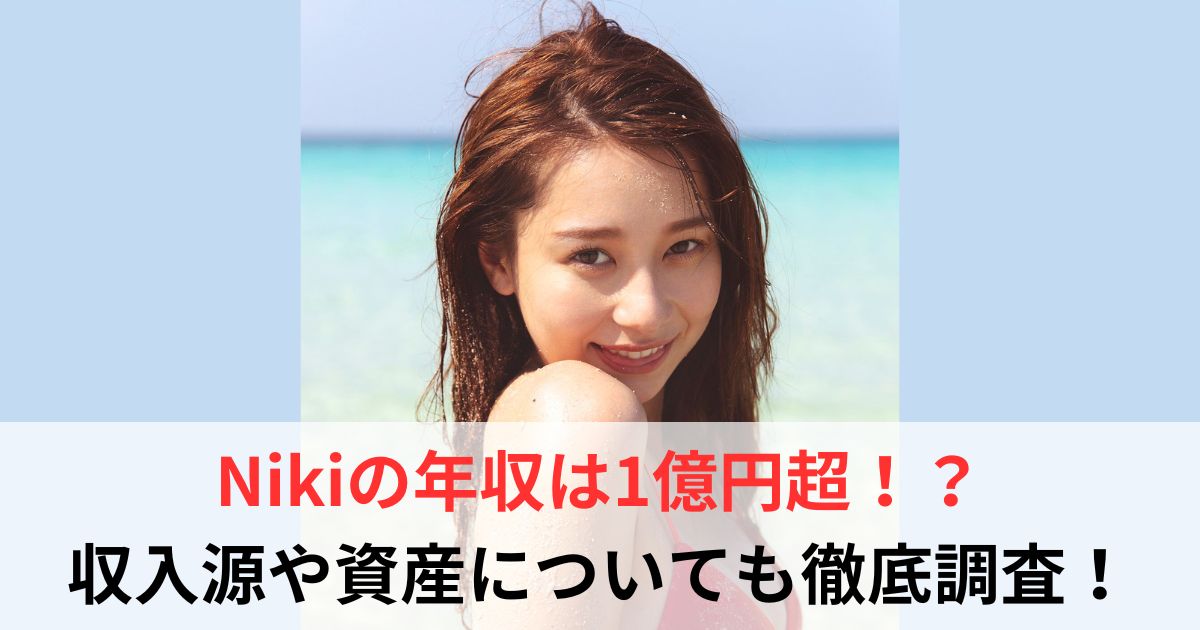 Niki 年収
