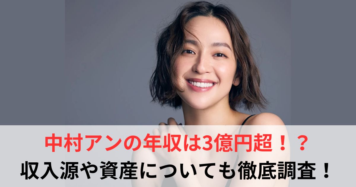中村アン　年収