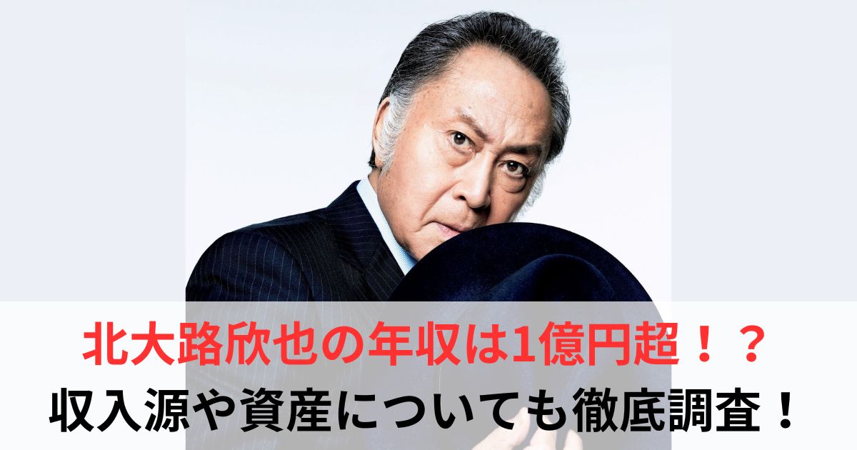 北大路欣也　年収