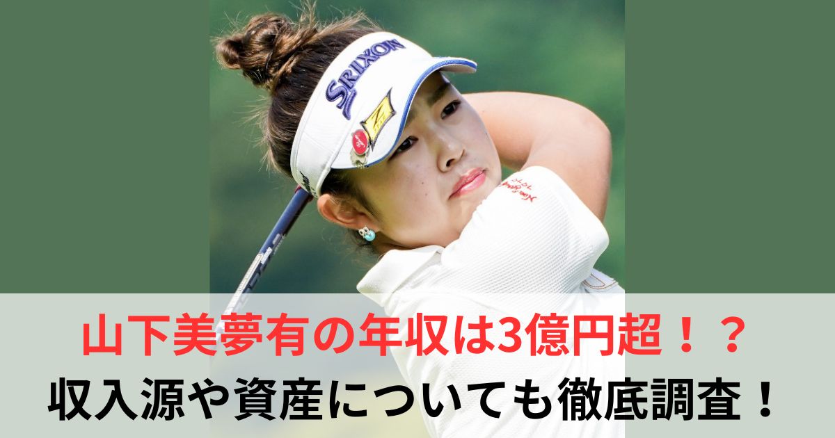 山下美夢有　年収