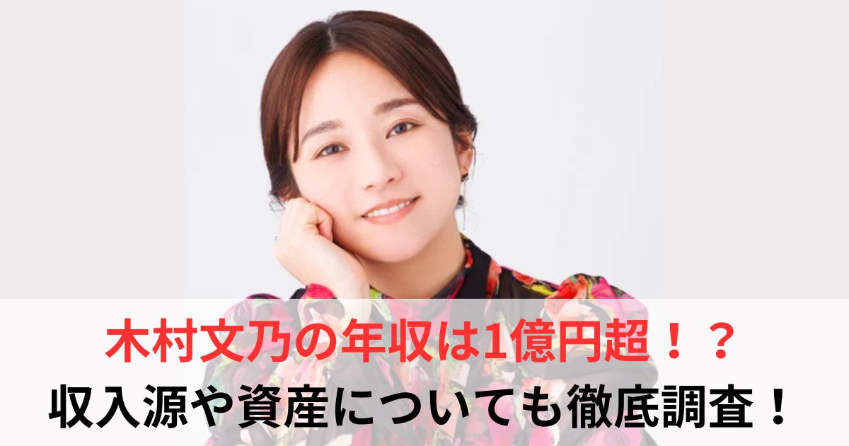 木村文乃　年収