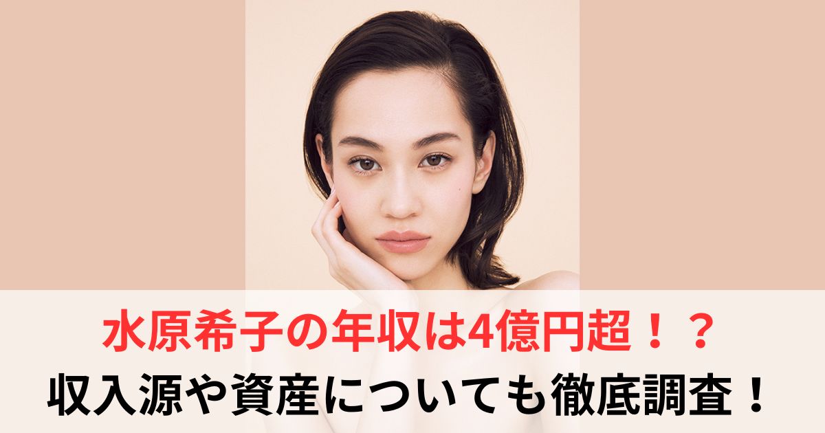 水原希子　年収