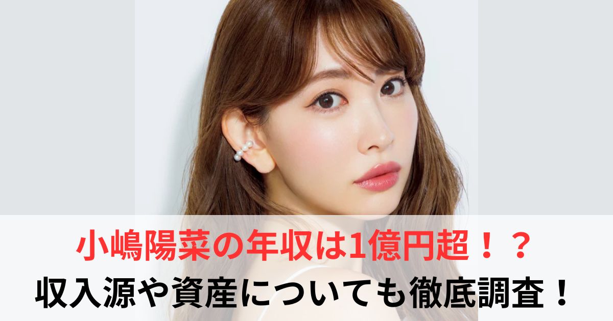 小嶋陽菜　年収