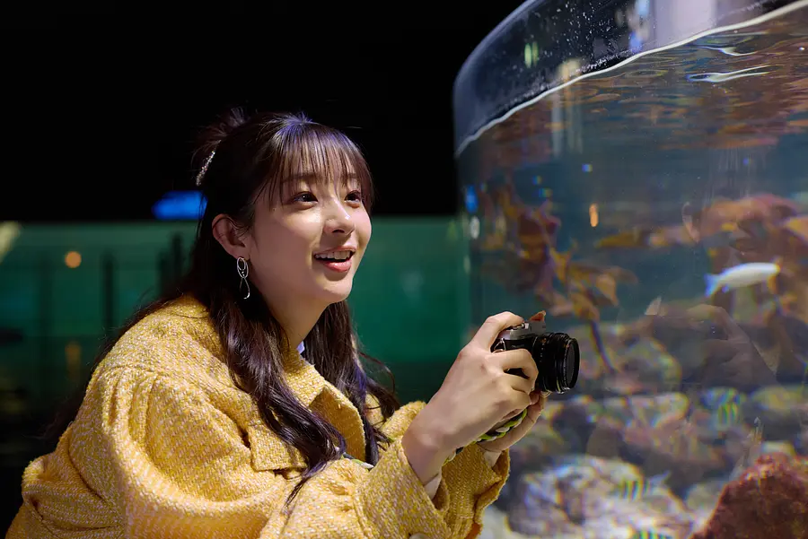 足立梨花　収入源