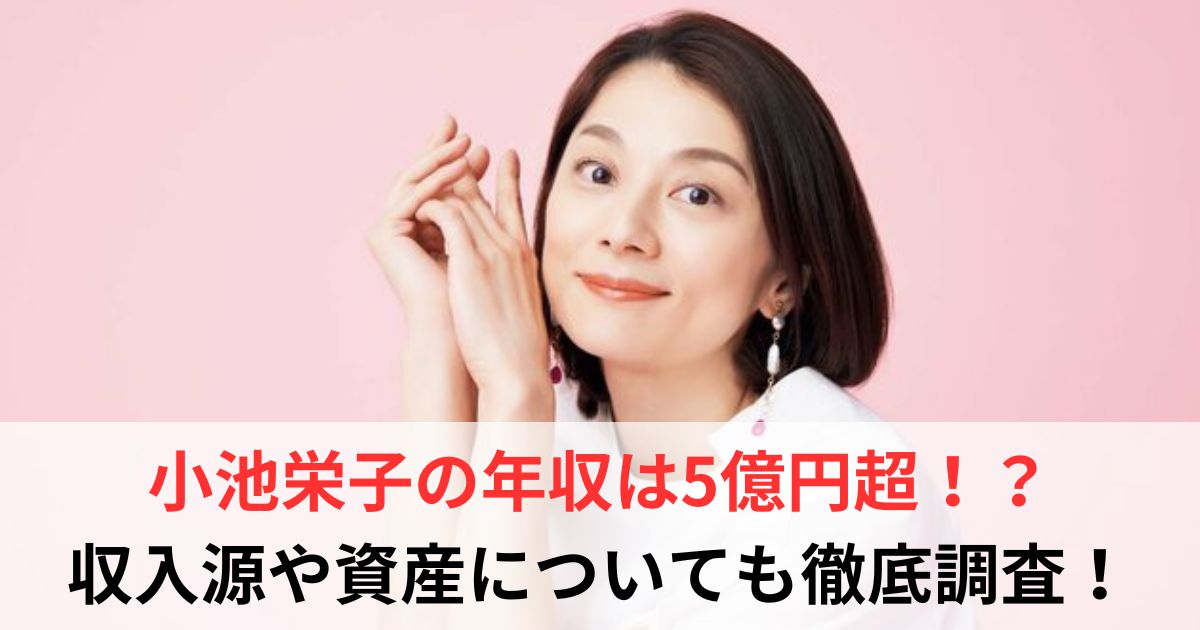 小池栄子　年収
