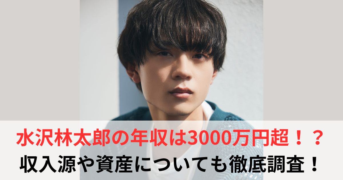 水沢林太郎 年収