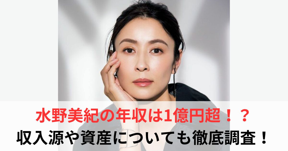 水野美紀 年収