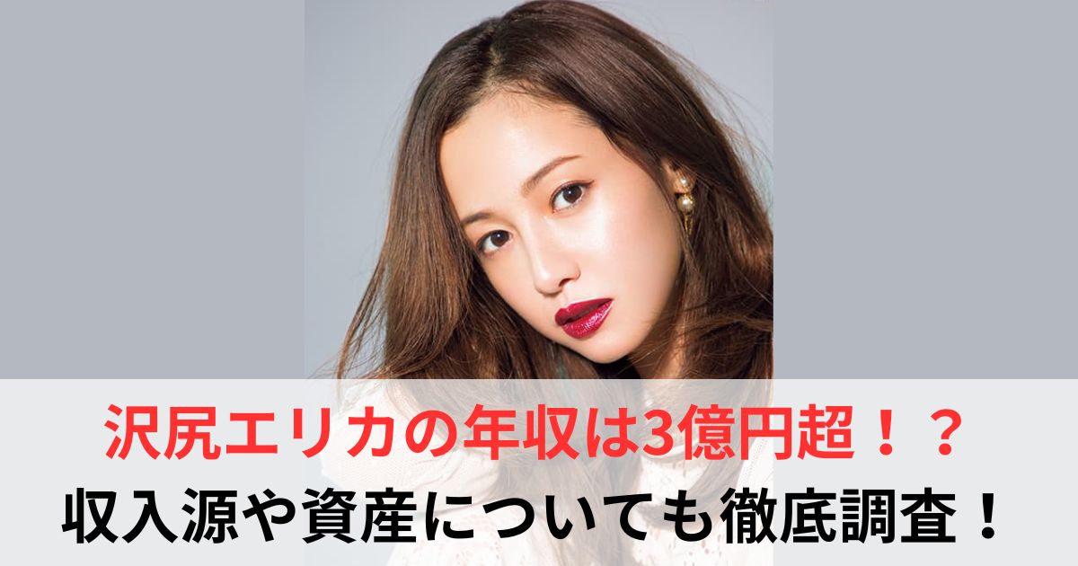 沢尻エリカ　年収