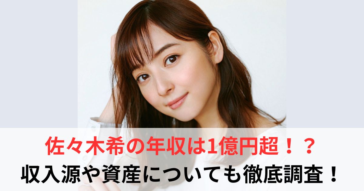 佐々木希 年収