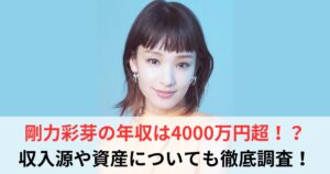 剛力彩芽　年収