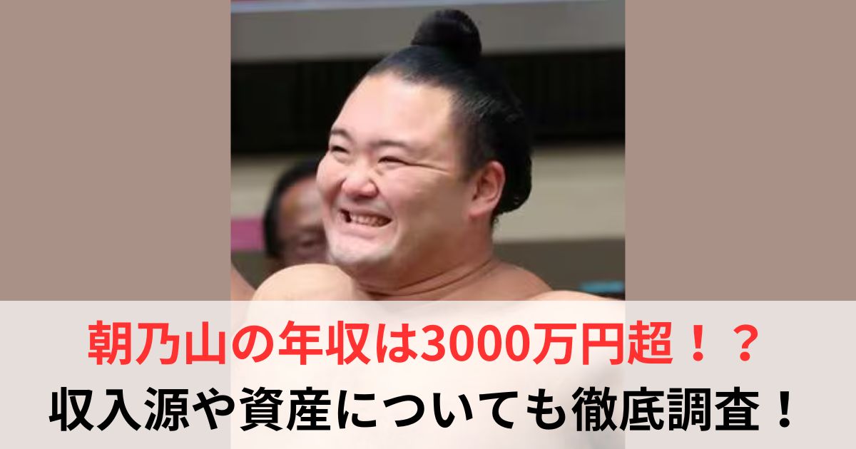 朝乃山　年収