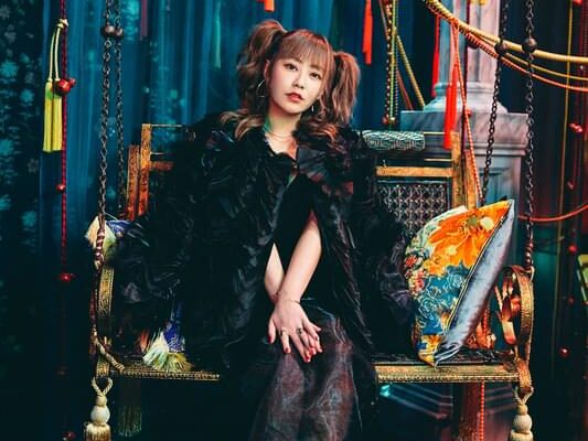 てんちむ　資産