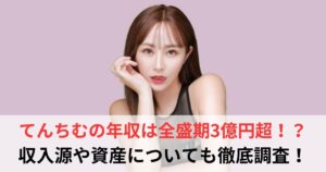 てんちむ　年収