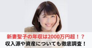 新妻聖子 年収