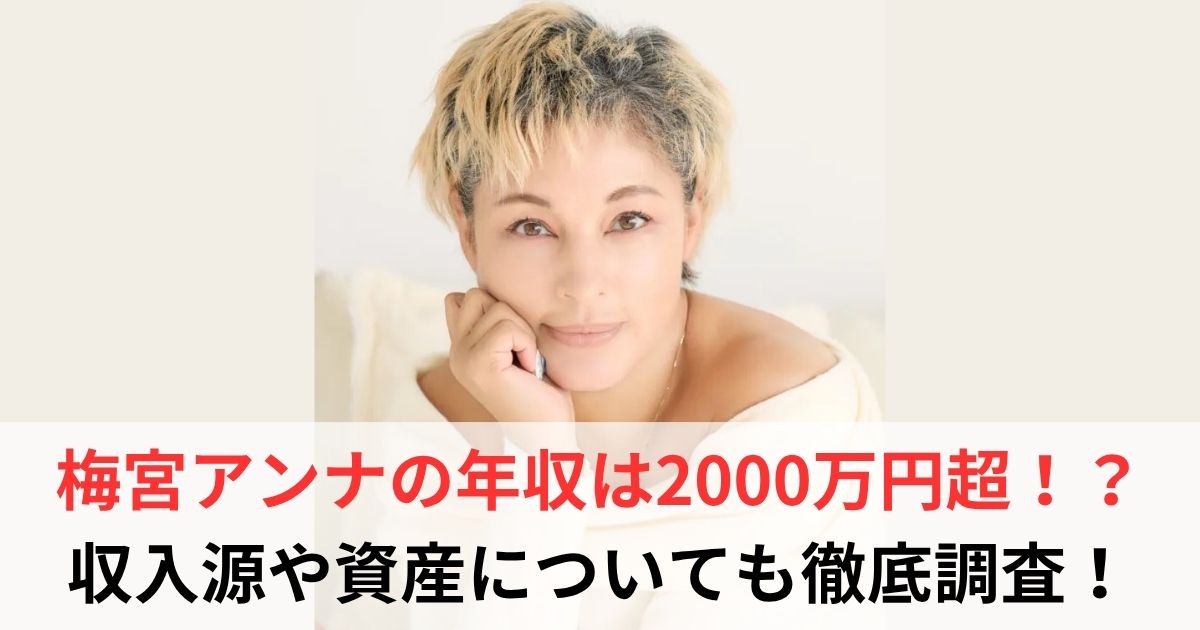 梅宮アンナ　年収