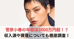 菅原小春　年収