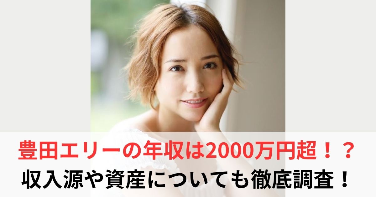 豊田エリー 年収