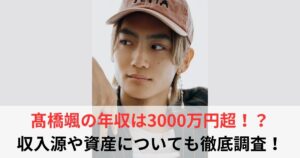 髙橋颯　年収