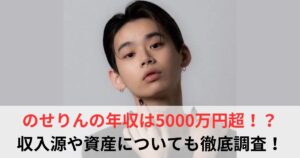 のせりん 年収