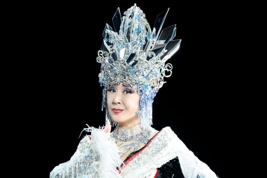 小林幸子　収入源
