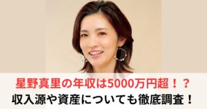 星野真里 年収