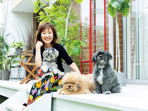 浅田美代子　資産