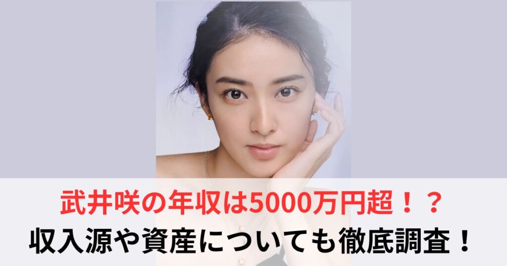 武井咲　年収