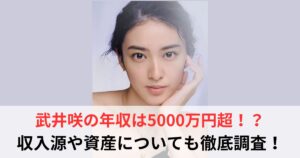 武井咲　年収