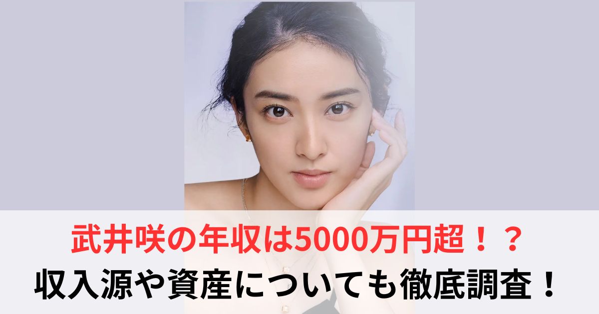 武井咲 年収