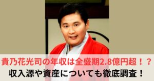 貴乃花光司 年収