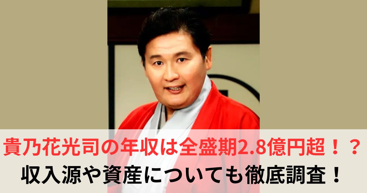 貴乃花光司　年収